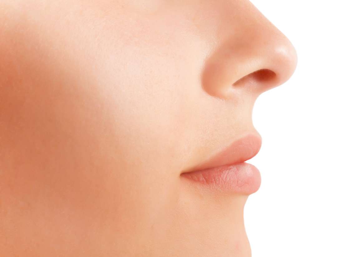 Olfactory receptors ‘do more than smell’ | Medical News Today