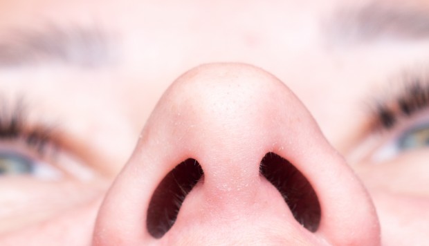 The human nose: amazing facts about our most powerful organ | South China Morning Post