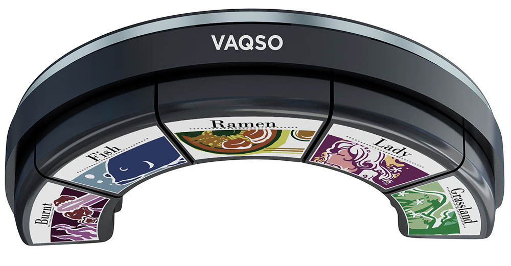 VAQSO VR