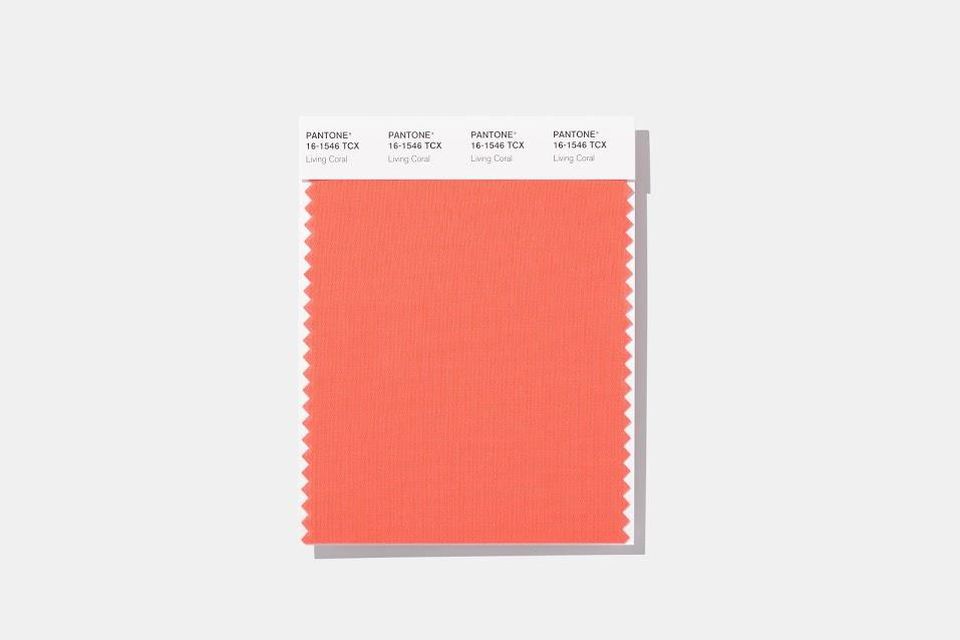 Pantone’s 2019 Color Of The Year Speaks To Nature, Play And Travel | Forbes