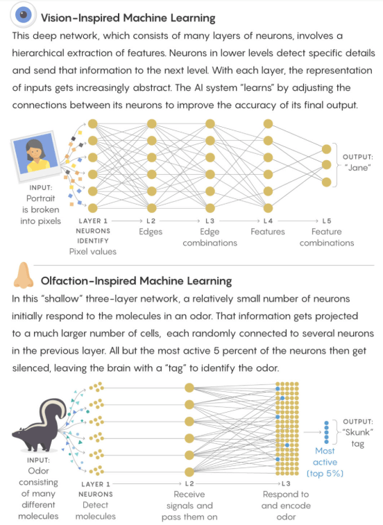 sensory machine learning