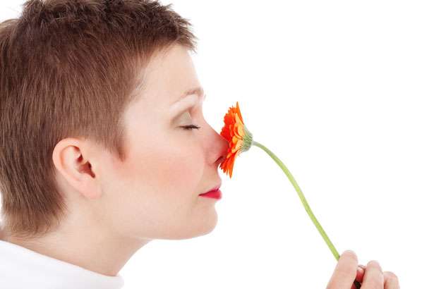 Scientists provide new insight on how the nose adapts to smells | Medical Xpress