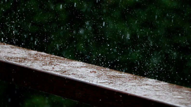 Why We’re Obsessed with Petrichor, the Scent of Rain | Beauty Matter