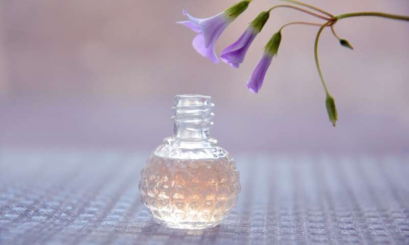 Scent composition data reveal new insights into perfume success | Phys.org