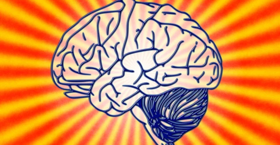 Reason and the art of neuroscience | The McGill Tribune
