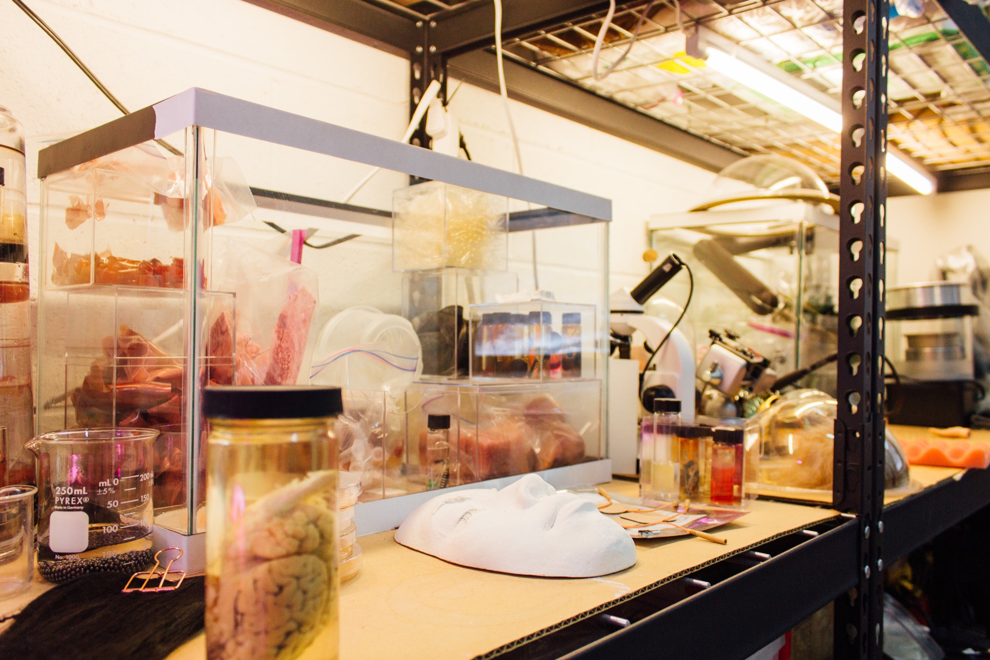 a lab bench filled with different organs, organic matter, 3d printed face, and electronics