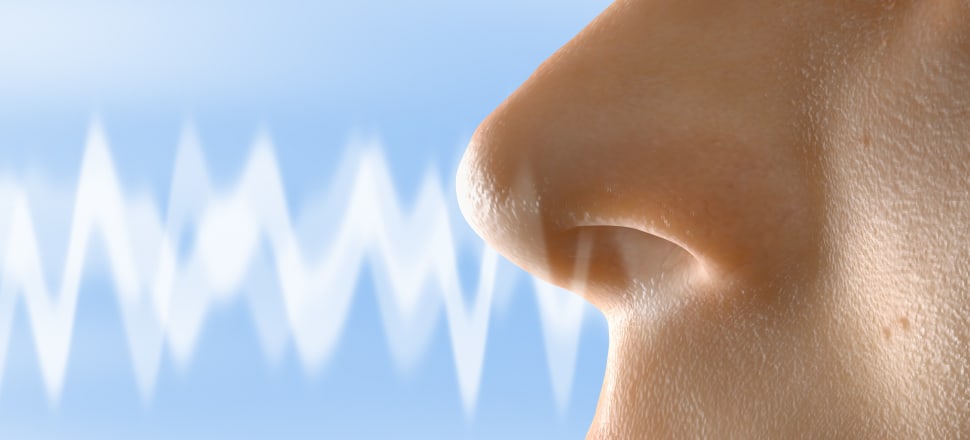 Your nose: The window to your brain | Newsroom