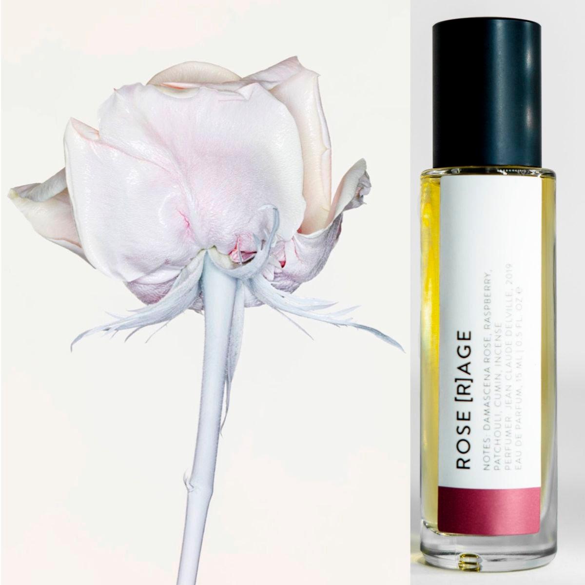 light pink rose with white stem by ben hasset, rose rage fragrance 