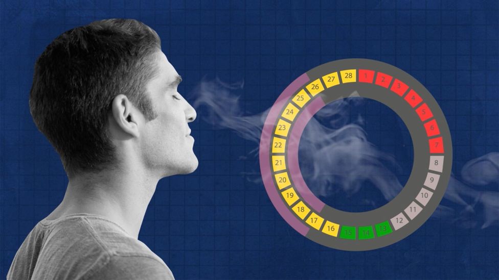 Men can find women's body odour more attractive at key points in their menstrual cycle (Credit: Michal Bialozej)