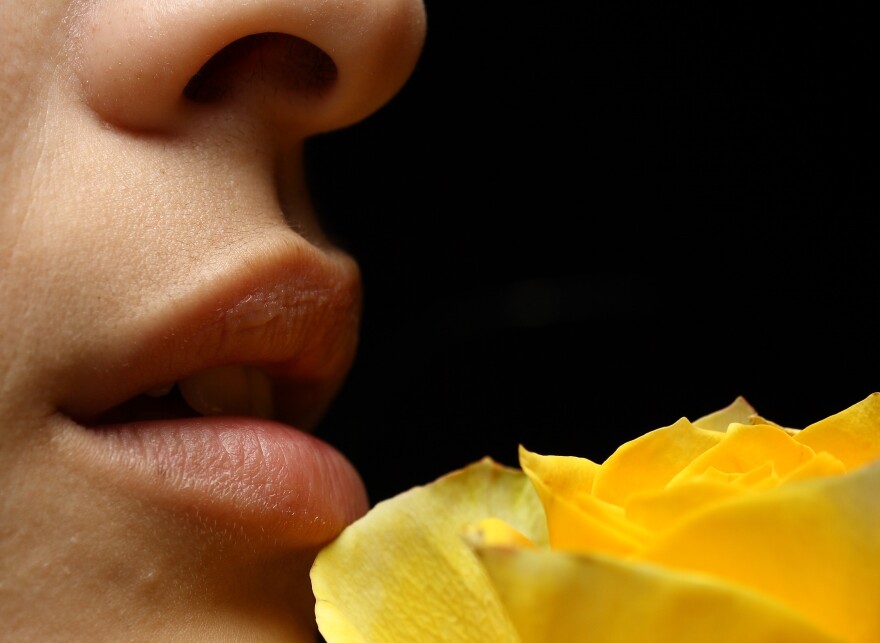 Turns Out the Nose Really *Does* Know: How Smell Unlocks Memory and Identity | WUNC