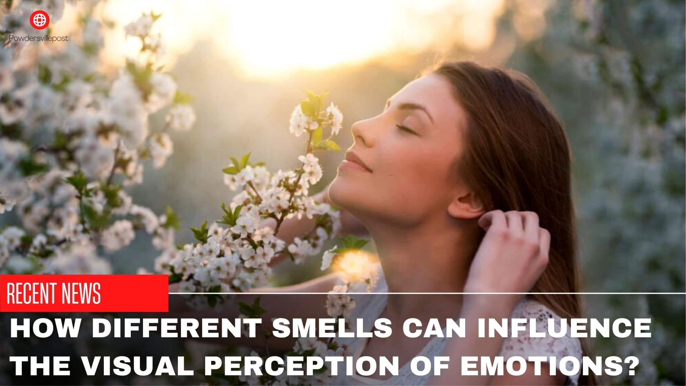 How Different Smells Can Influence The Visual Perception Of Emotions? | PV Post