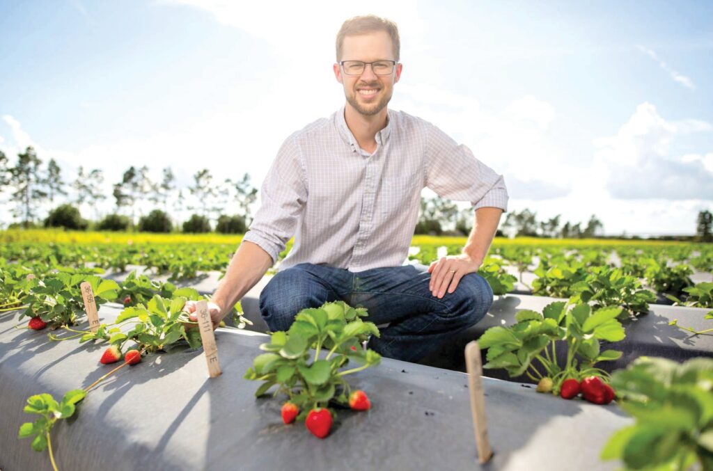Genes responsible for flavor compounds in strawberries found | Charlotte County Florida Weekly