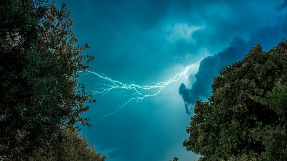 Plant leaves spark with electricity during thunderstorms — and that could be altering our air quality in unpredictable ways | Live Science