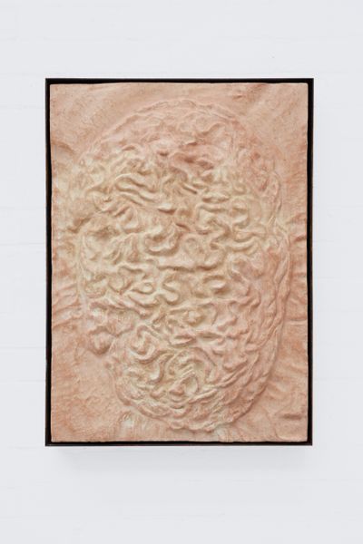 Jenna Sutela, Gut-Flora (Cerebrobacillus) (2022). Fired mammalian dung glazed in breastmilk. 90 × 60 cm. Commissioned by V-A-C.