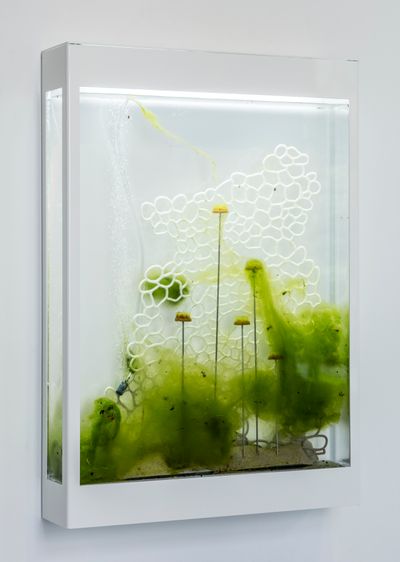 Anicka Yi, Living and Dying In The Bacteriacene (2019). Powder-coated steel with inset acrylic vitrine, water, 3-D-printed epoxy plastic, filamentous algae. 83.8 x 63.5 x 14 cm.