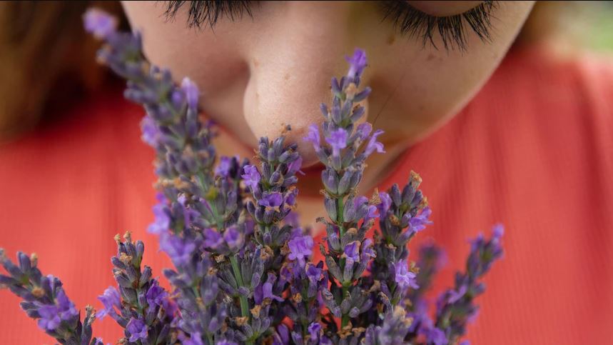 Smell is a powerful but mysterious force. This expert is on a quest to better understand it | ABC News