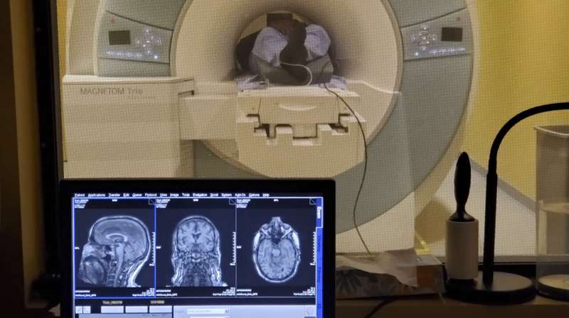 Small studies of 40Hz sensory stimulation confirm safety, suggest Alzheimer’s benefits | Medical Express