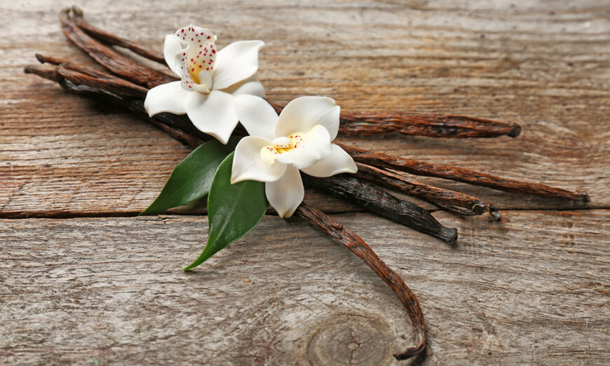 The Medicinal Properties of Vanilla: From Ancient History to Modern Use | The Epoch Times