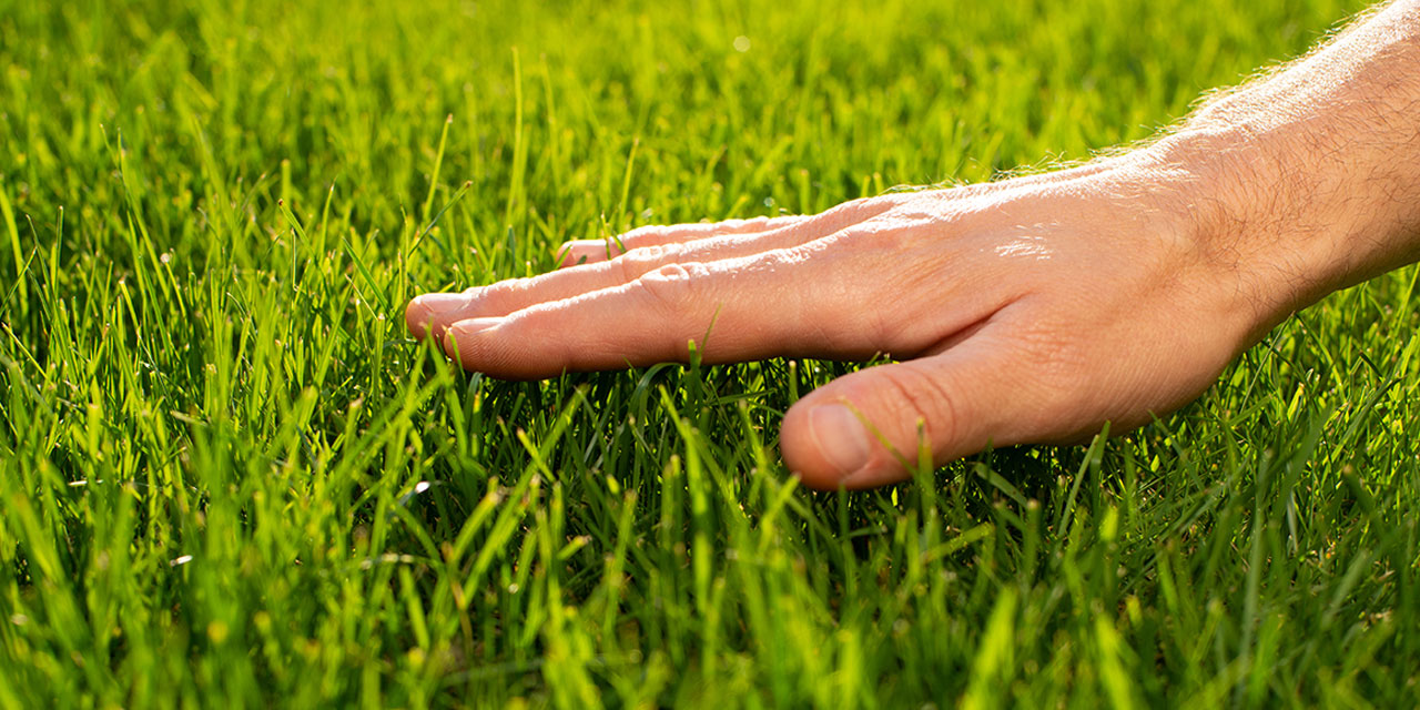 On the Need to Touch Grass | City Journal