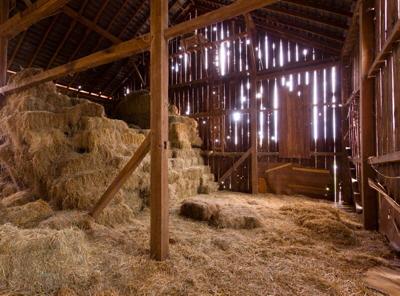 Get a Whiff of That! There’s Nothing Like the Smell of the Farm | Farm and Rural Family Life | lancasterfarming.com